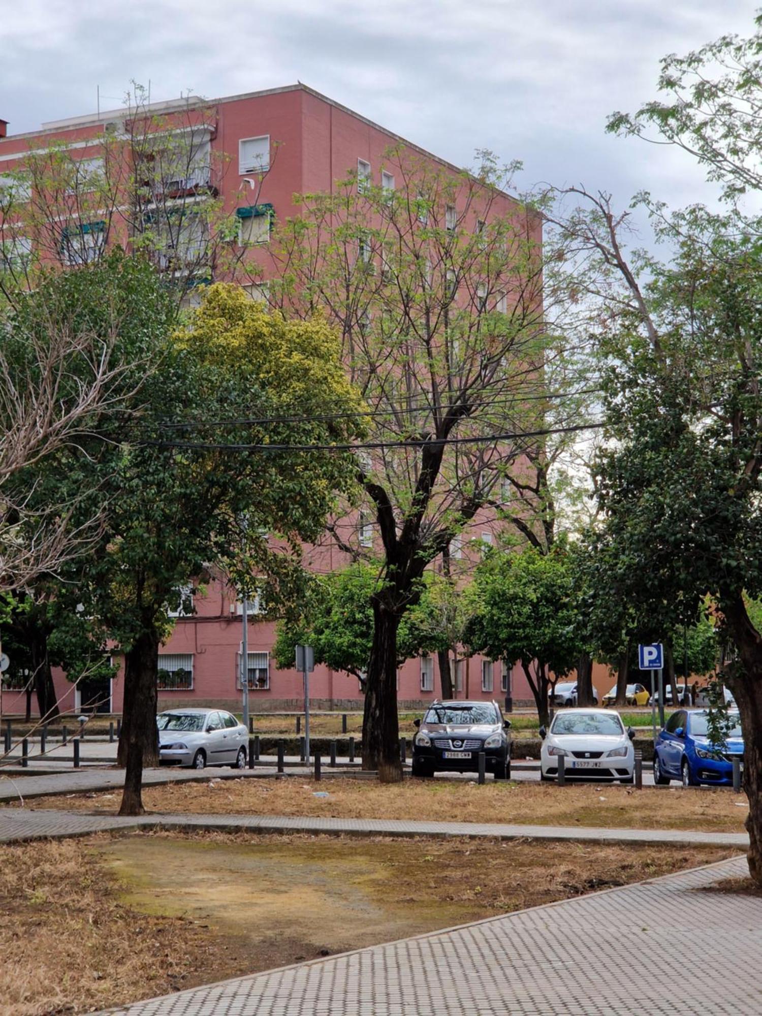 Apartamento de 2 dormitorios