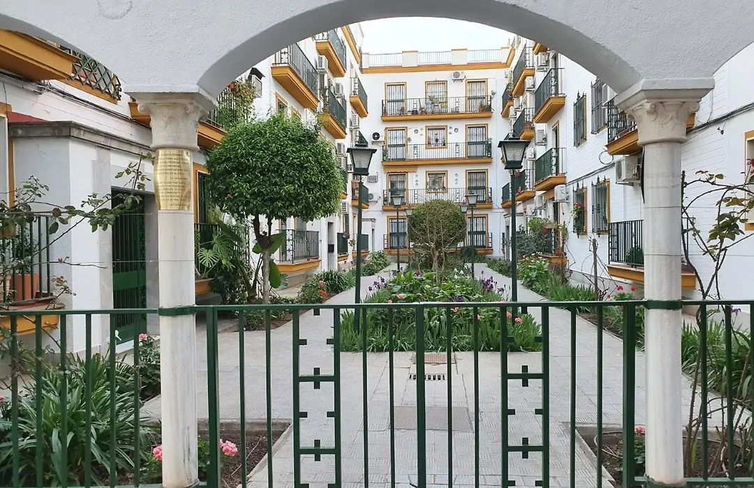 Nool Sevilla-1