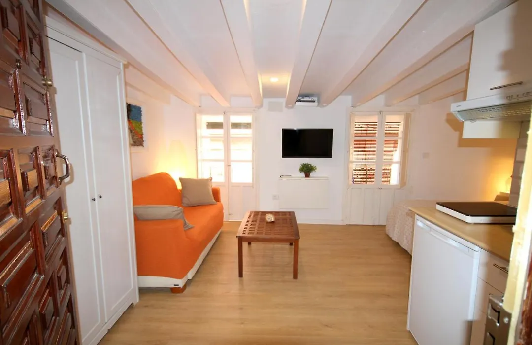 Loft In The Heart Of Seville-1