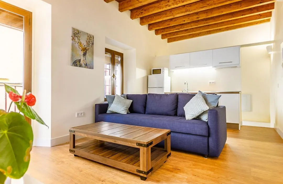 Stunning Apartment In Central Seville-1