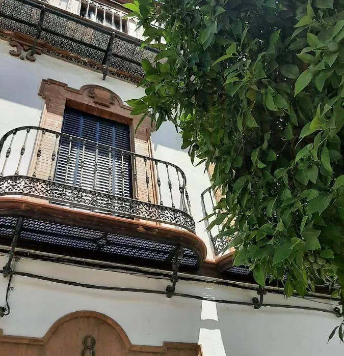 'Suite Magallanes' Apartamento Cool En El Verdadero Centro De Sevilla-1