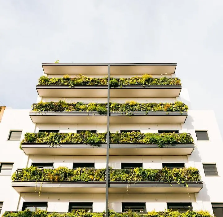 Treetriana-1