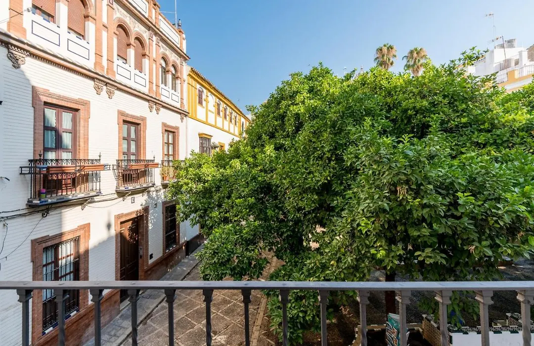 Dona Elvira Suites Cathedral-1