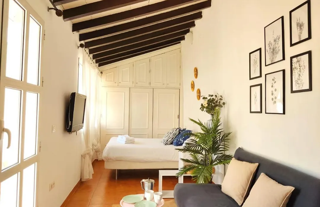 Stunning Attic With Private Terrace And Parking Optional-1