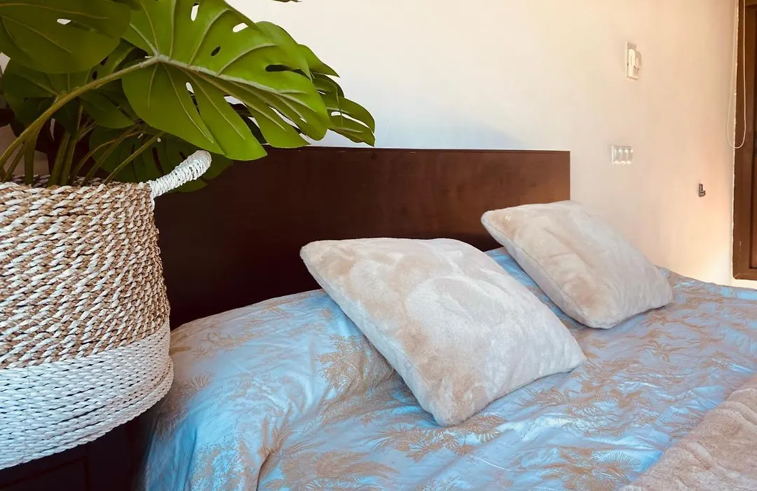 Lovely Triana Flat With Roof Terrace-1