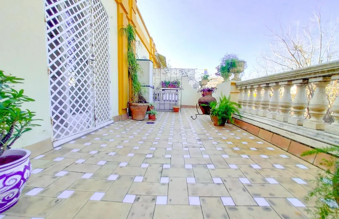ATICO DUPLEX ALAMEDA de HERCULES GRAN TERRAZA-1
