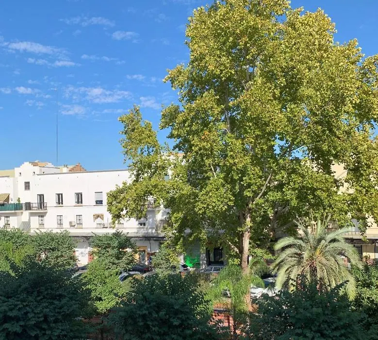 Acogedor Apartamento En Pleno Corazon De Triana-1
