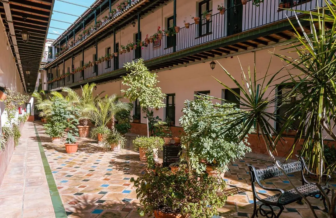 Apartamento con encanto en patio sevillano (203)-1