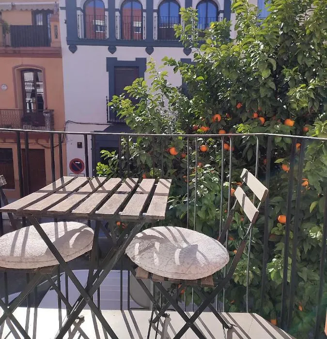 Loft House Triana-1