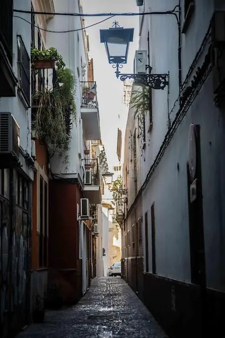 Apartamento Sevilla Historico Centro Lanza-1