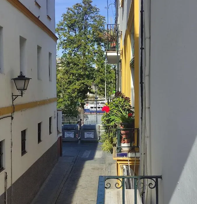Vive Triana-1