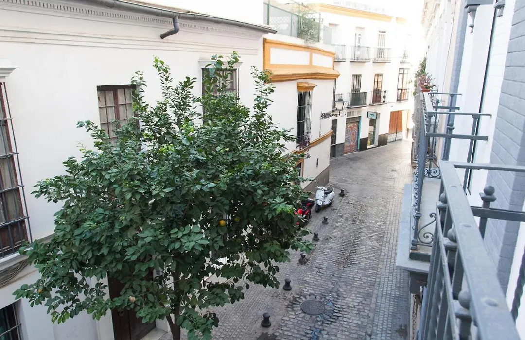 Isg Apartments Cedaceros-1