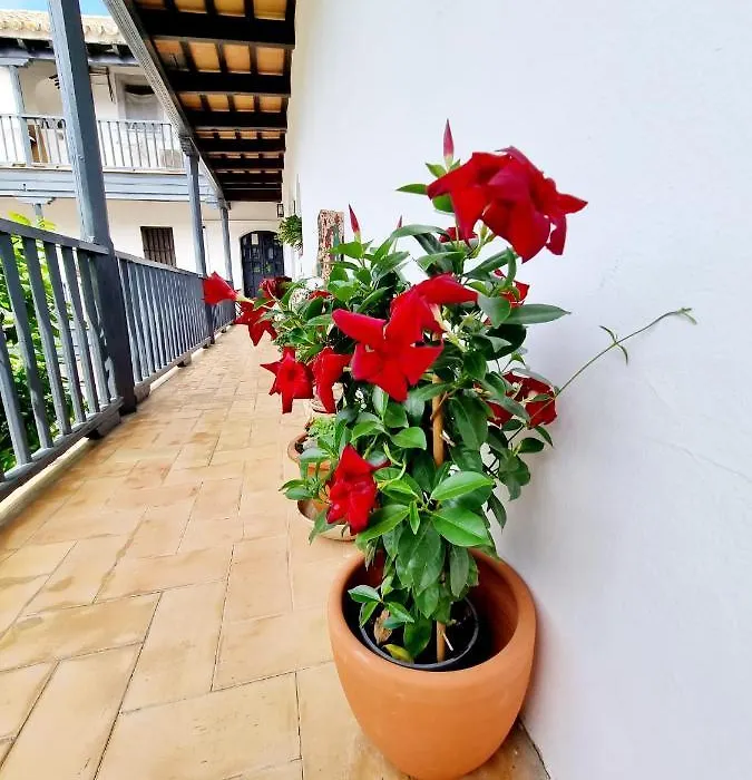 Apartamento con Patio Sevillano-1