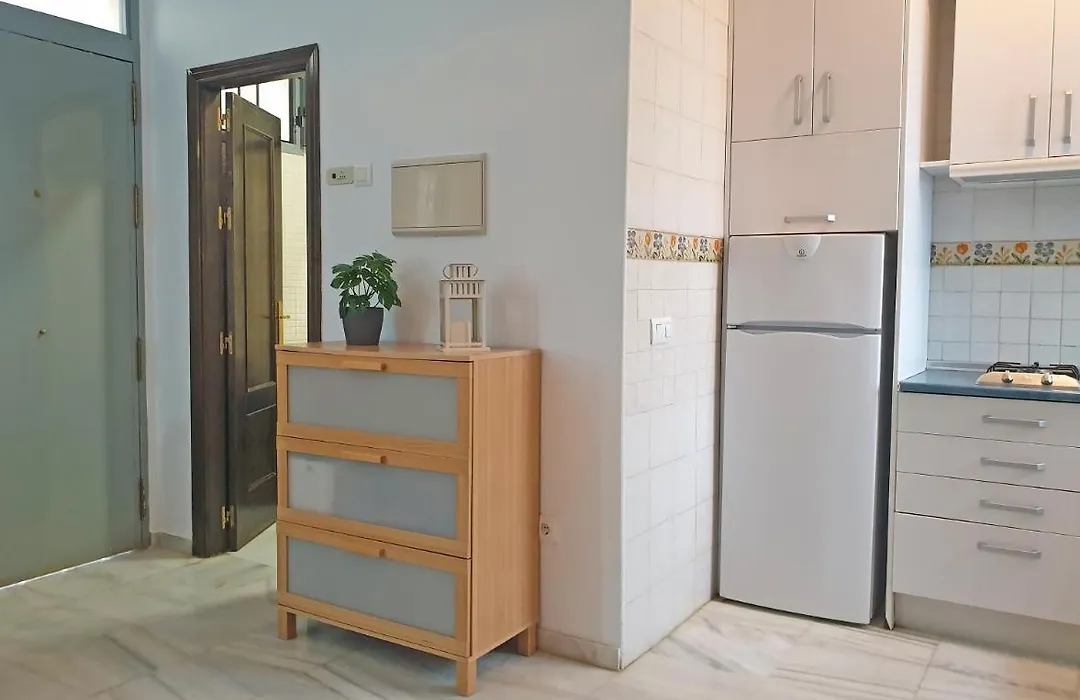 Triana Exclusive Con Terraza Privada-1