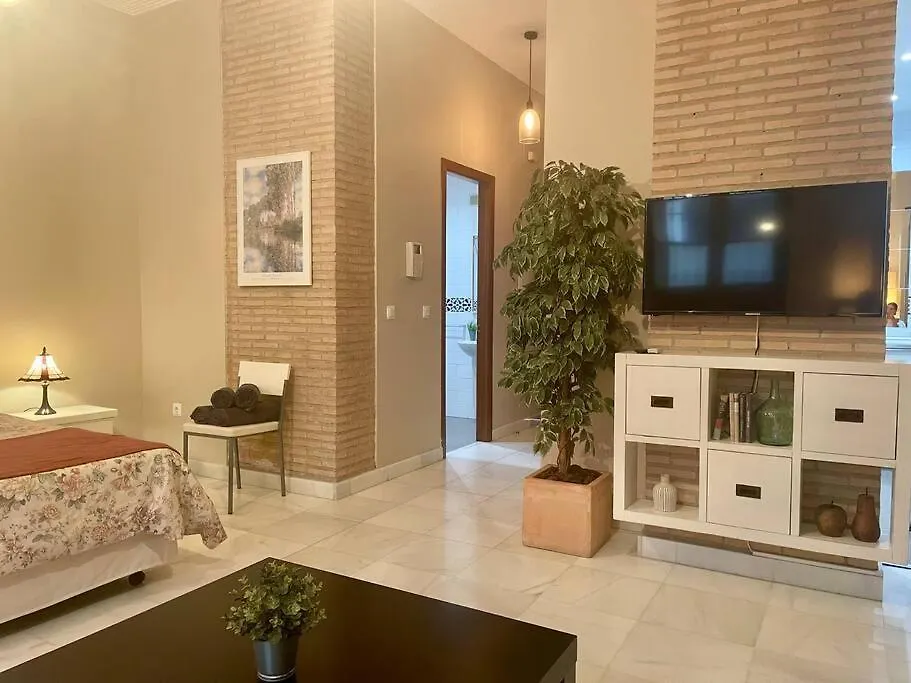 Acogedor loft+parking junto a Catedral-1