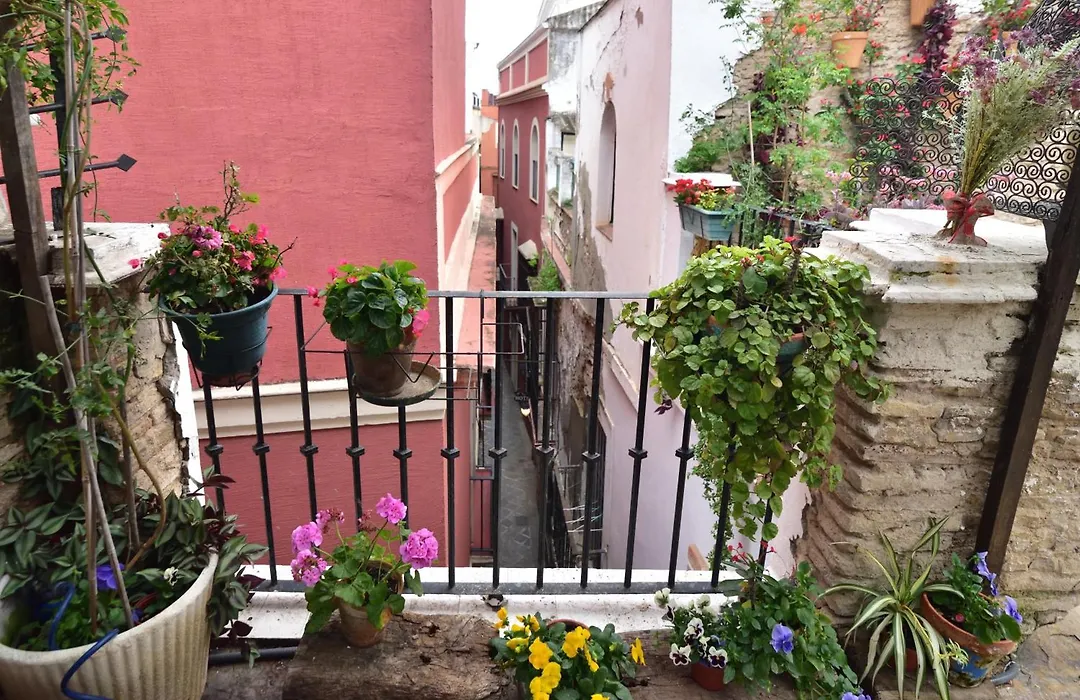 Suite Dona Ines Barrio Santacruz-1