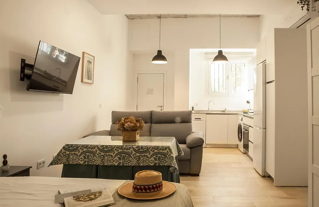 Apartamentos RG Hospital Valme-1