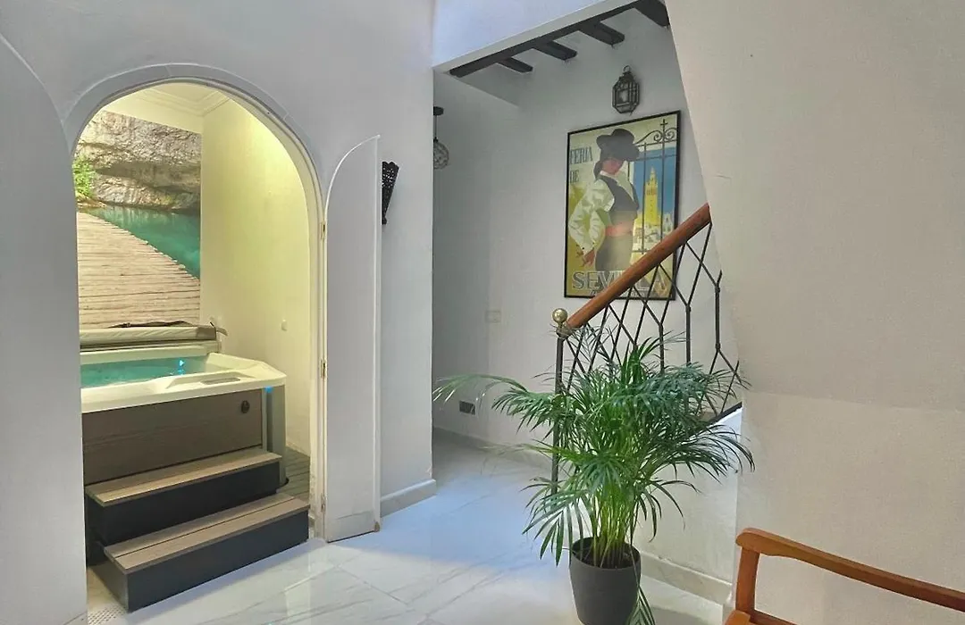 House -Rooftop&Jacuzzi -Stayinseville-1