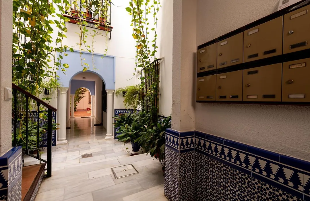 RC Sevilla Centro Histórico CatedralJudería-1