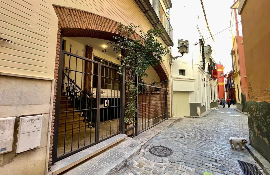 Eva Recommends Catedral Confort-1