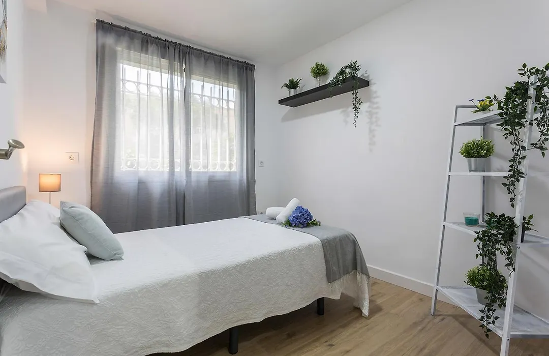 Centro Virgen Guia 3 Rooms-1