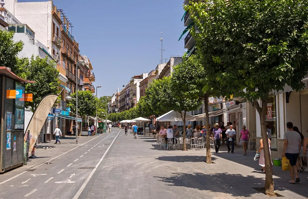Rt41 Triana Deluxe-1