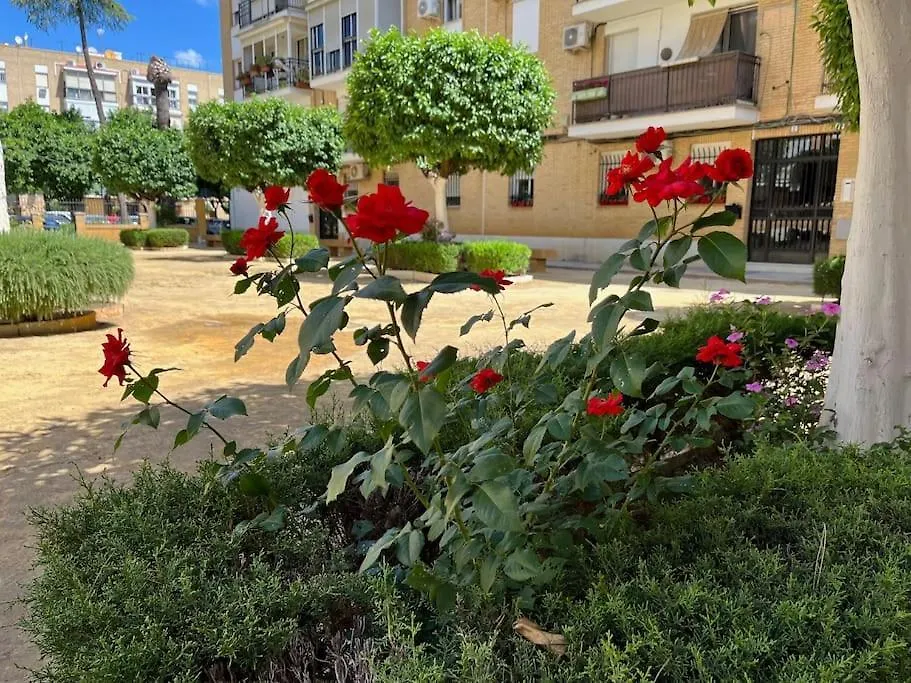 Triana Family Suites-1