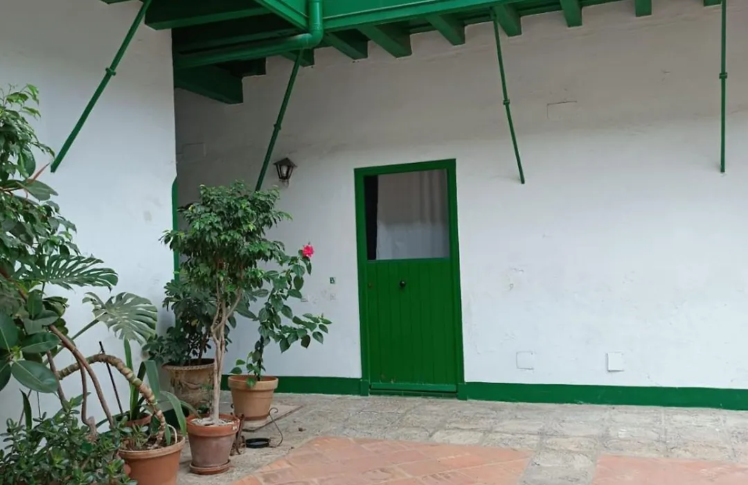 Estudio Las Setas I-1