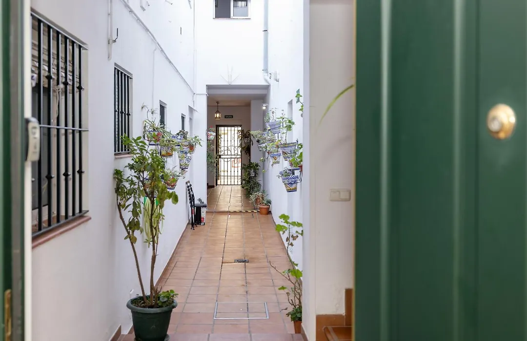 Apartamentos Trianasol-1
