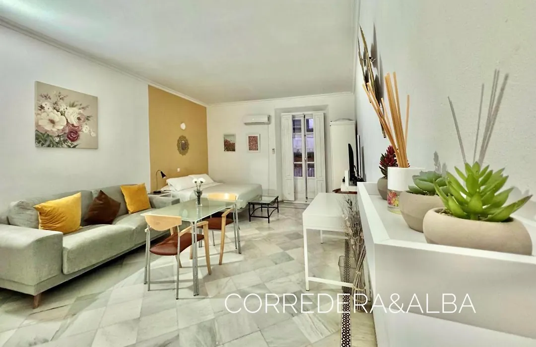 Habitaciones Casa Sevillana Centro-1
