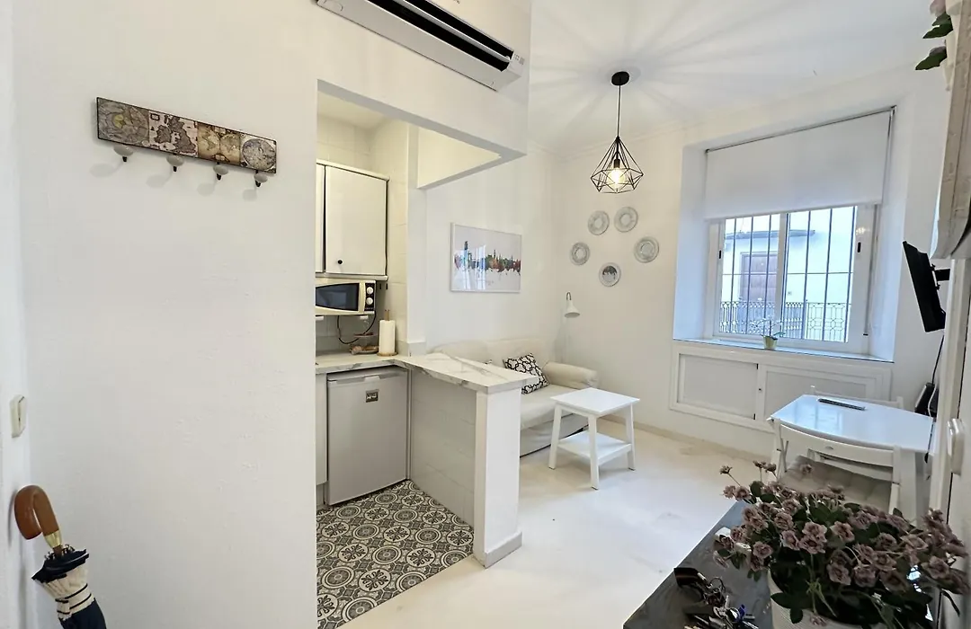 Encantador apartamento en el centro de Sevilla-1