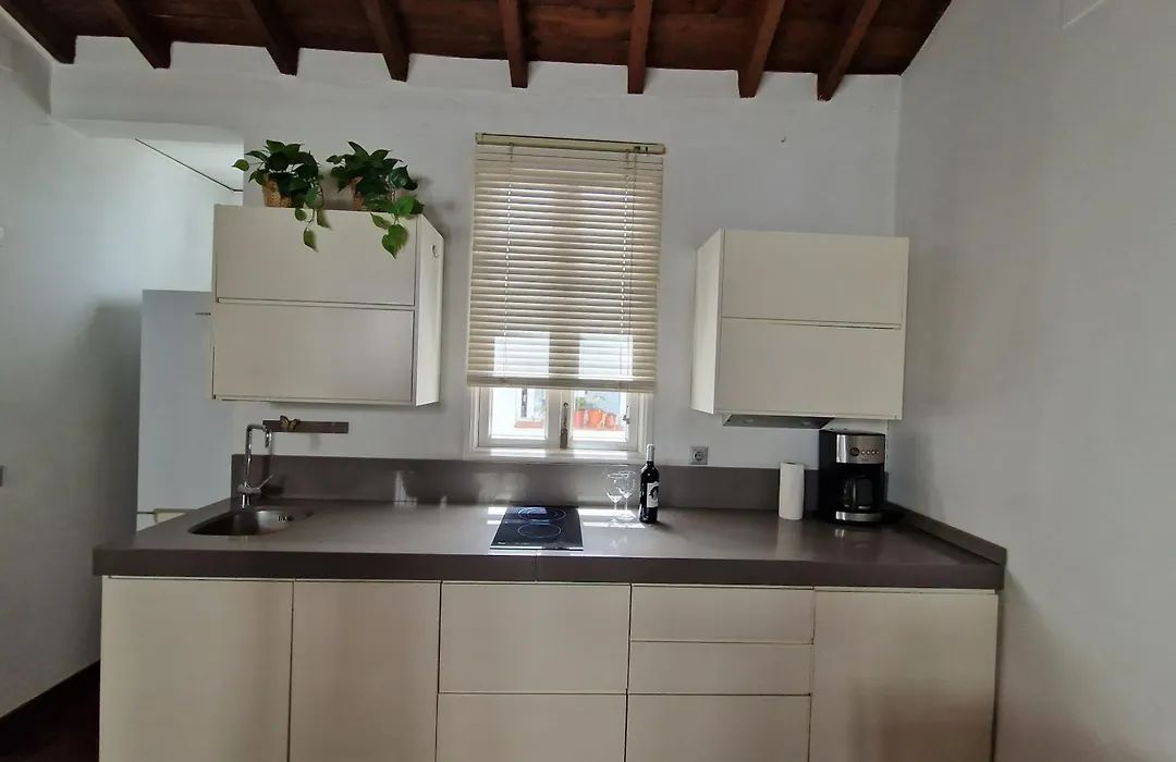 Loft luz del Duque-1