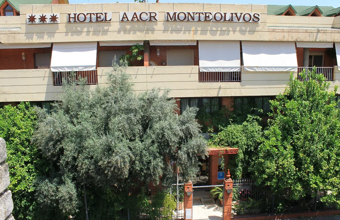 AACR Hotel Monteolivos-1
