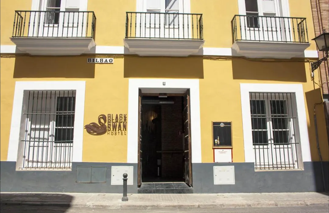 Black Swan Hostel Sevilla-1