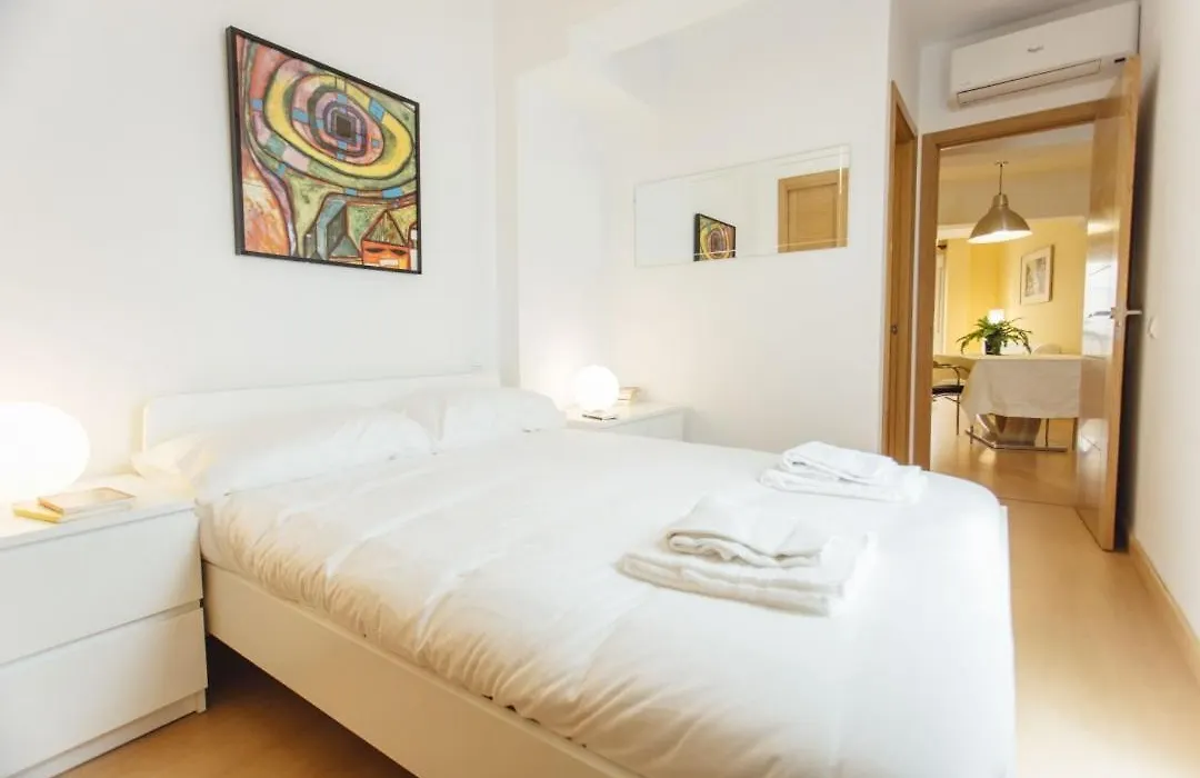 Luminous And Spacious Apartment B Centro-1