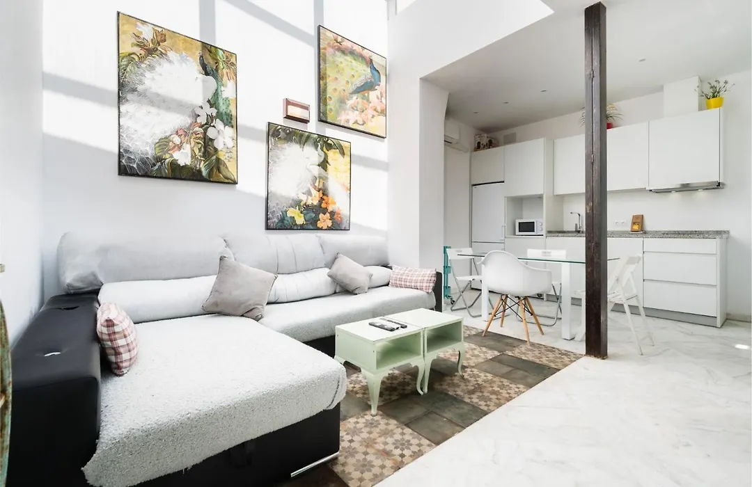 Penthouse con terraza- 2D 2B- Triana-1