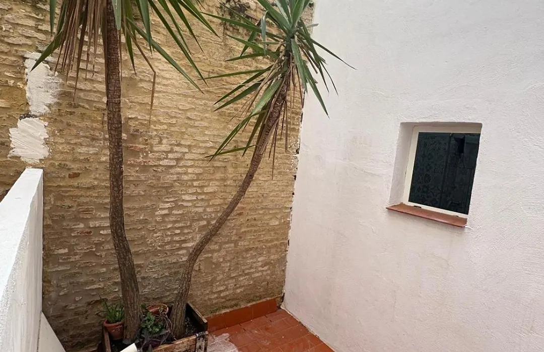 Coqueto loft en el casco antiguo de Triana-1