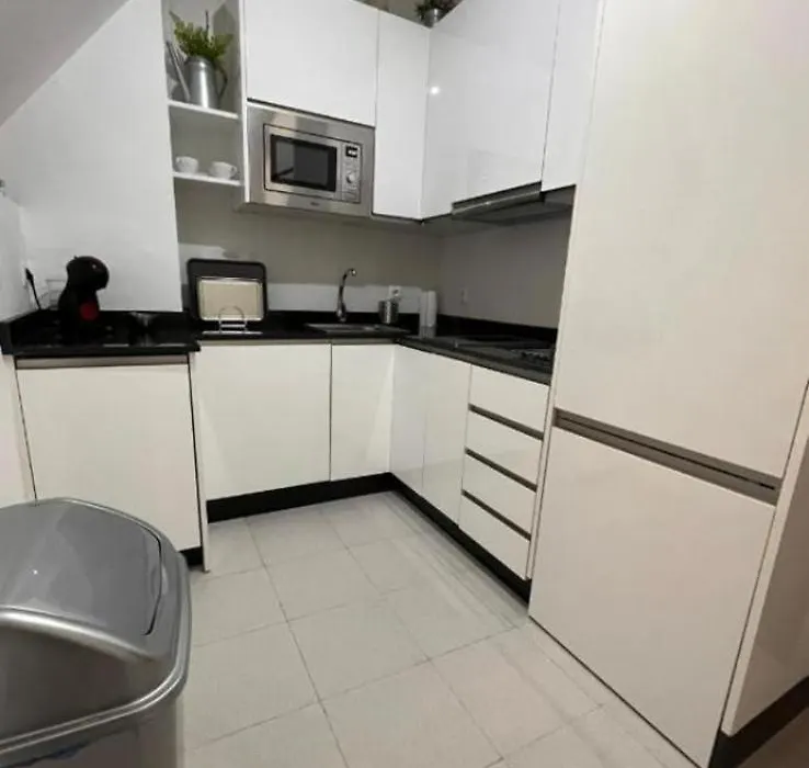 Duplex céntrico San Isidoro-1