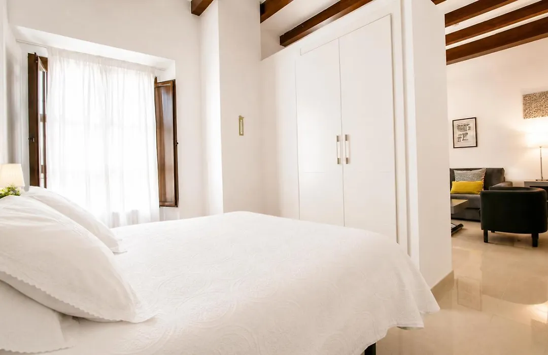 Apartamentos Plaza Nueva-1