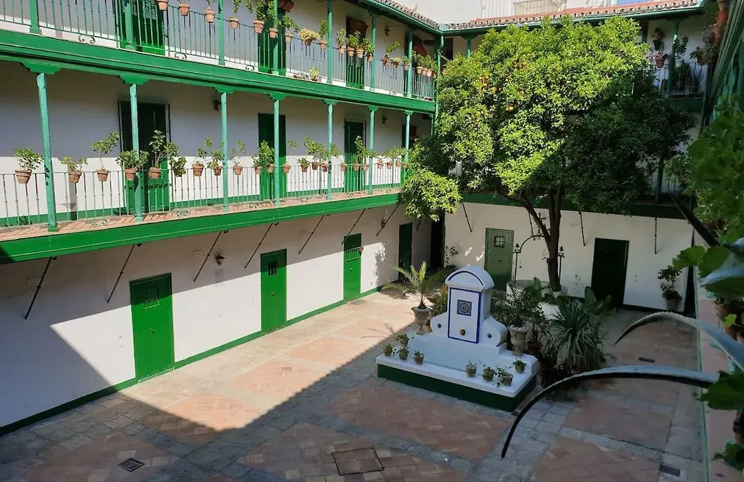 Apartamento Suite Las Setas-1