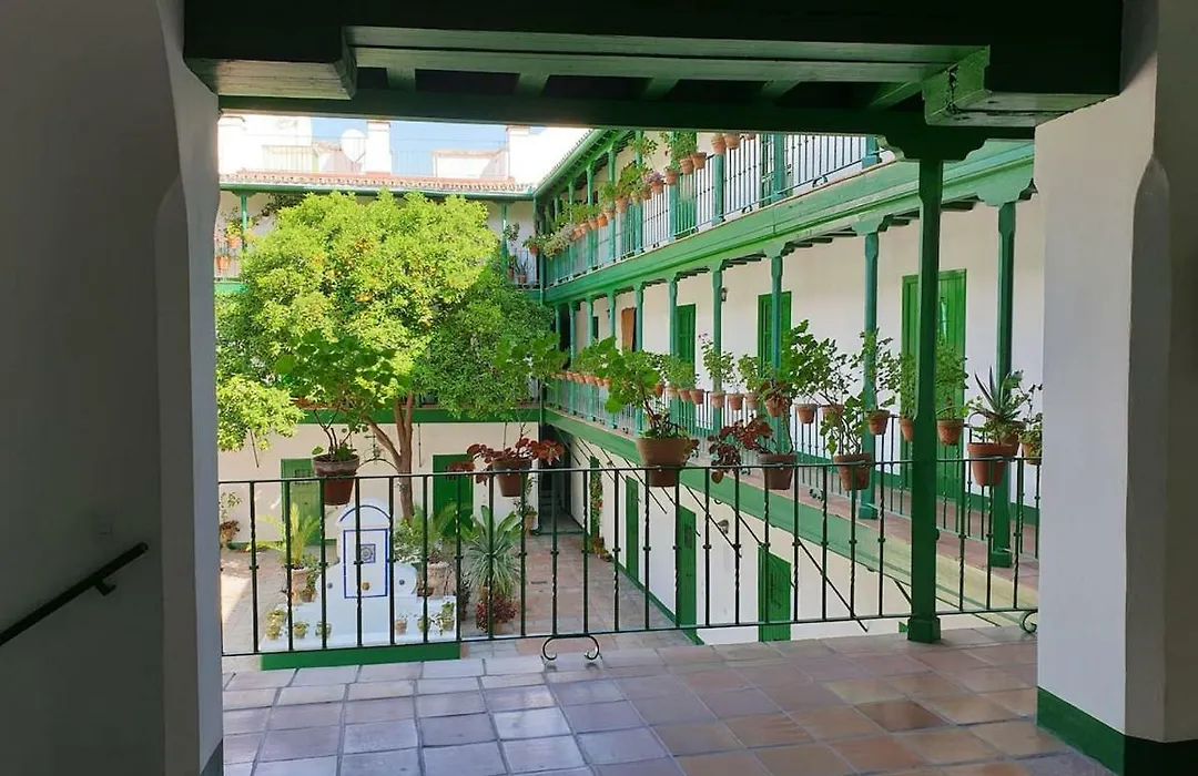Apartamento Suite Las Setas-1