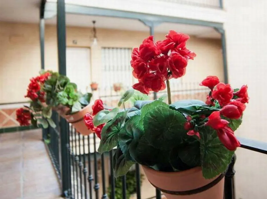 Hsh Suites Corrala Triana-1