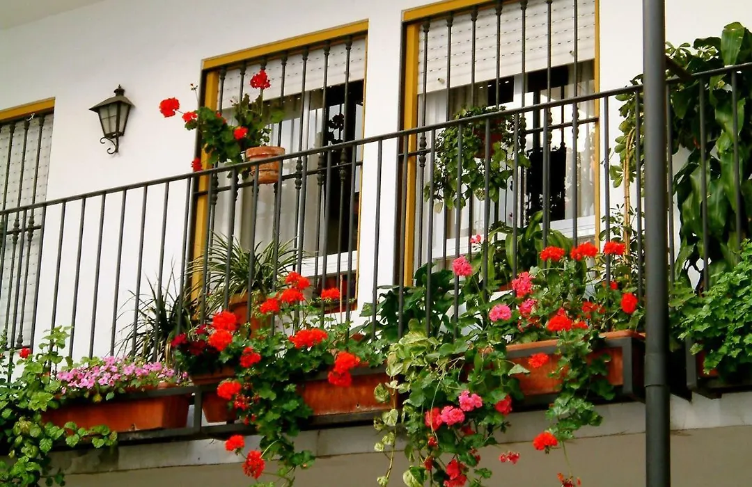 Rentalsevilla San Clemente-1