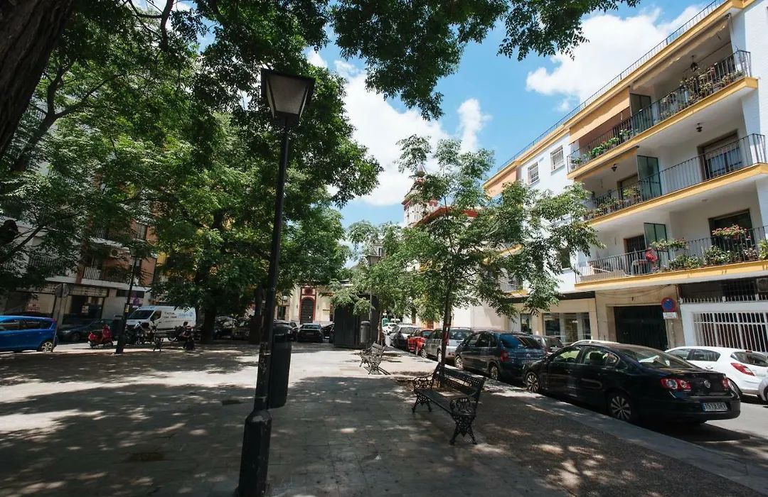 Charming Terrace - Sunny Chill Out Terrace-1