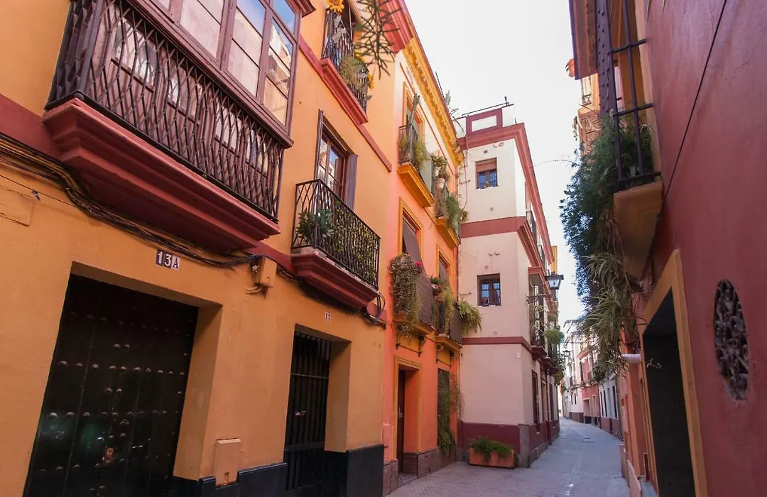 Flamencos Apartamento con garage 5 pax-1