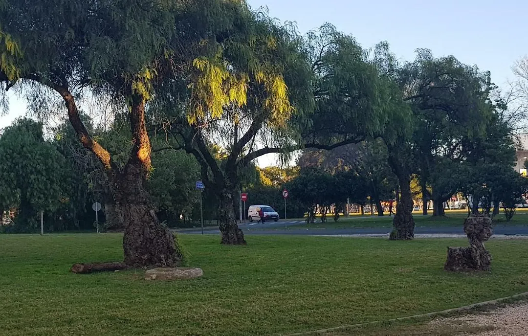 Apartamento frente a Palacio de Congresos (Fibes)-1