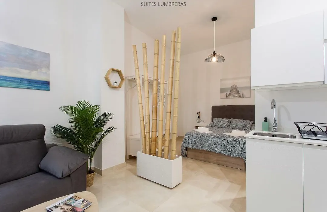 Suites Lumbreras-1