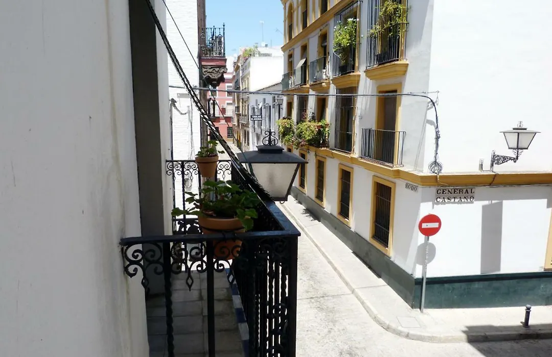 Rodo Arenal-1