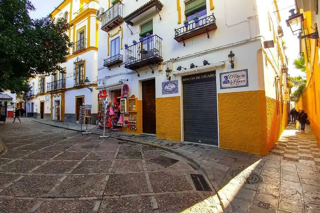 Plaza Elvira Atico- Penthouse Next To Cathedral-1