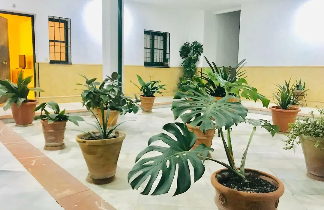 Los Patios De La Juderia-1